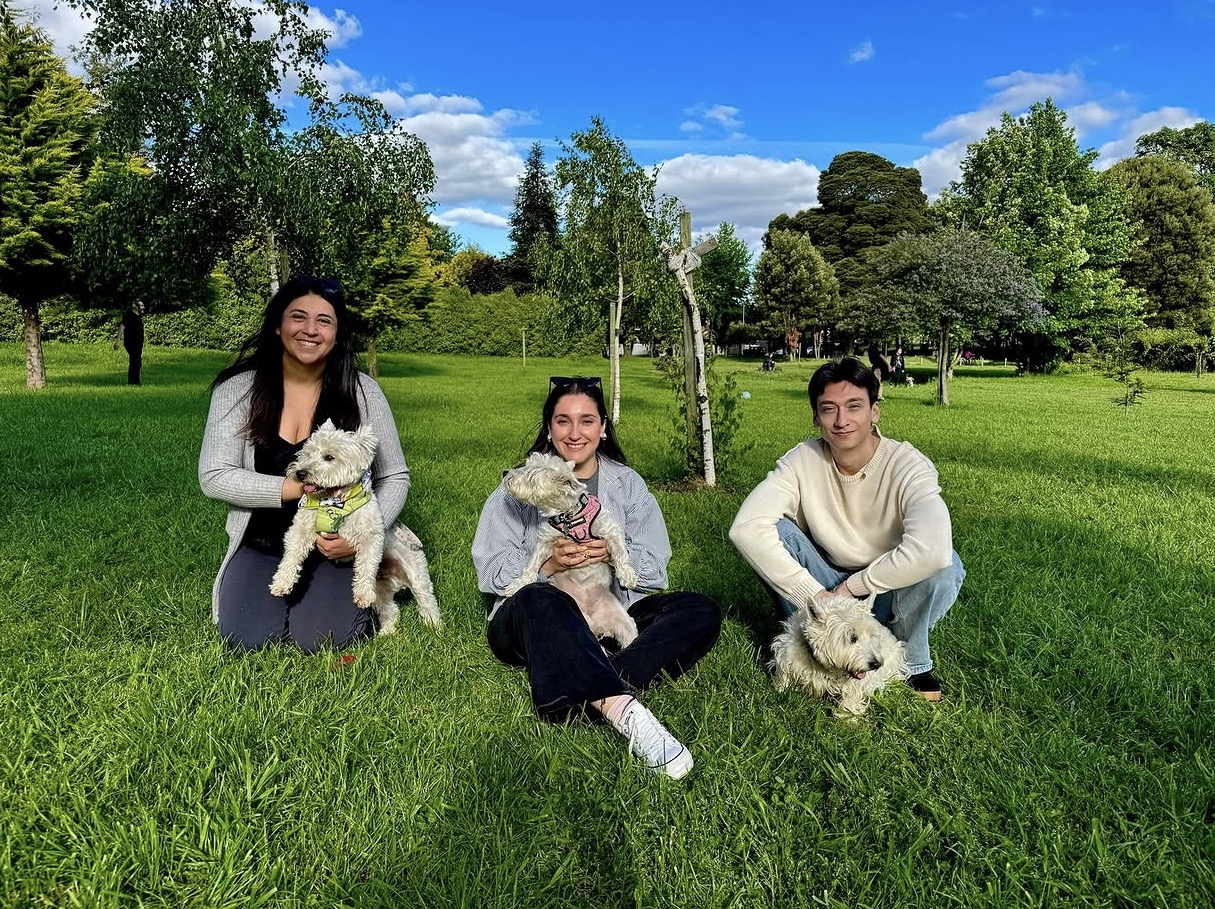 Familias y Westies en el parque